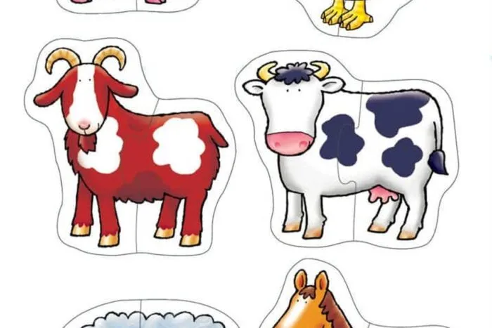 puzzle-animale-domestice-doua-piese_1653_1_1589449736