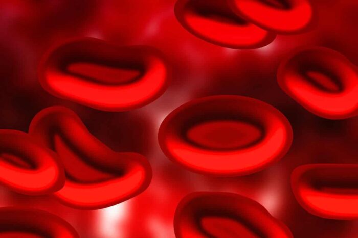 sange