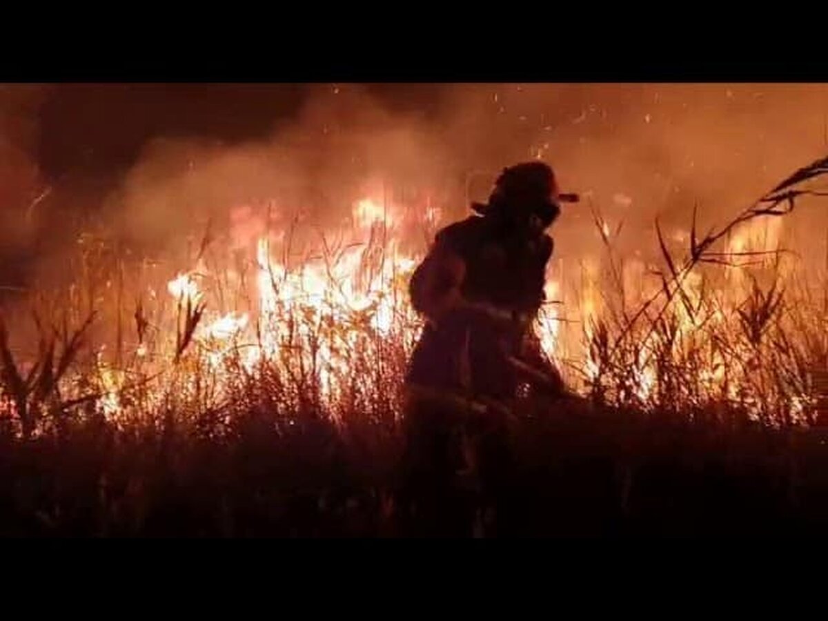 400 de hectare cu vegetaţie uscată, cuprinse de flăcări la Vadu
