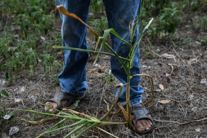 seceta hepta scaled 1