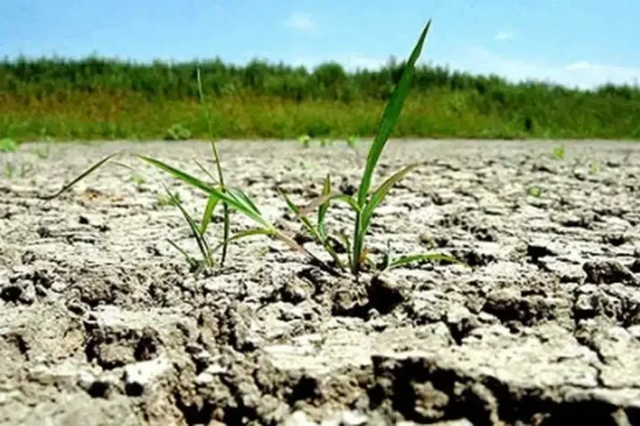 seceta 72318400 39112700