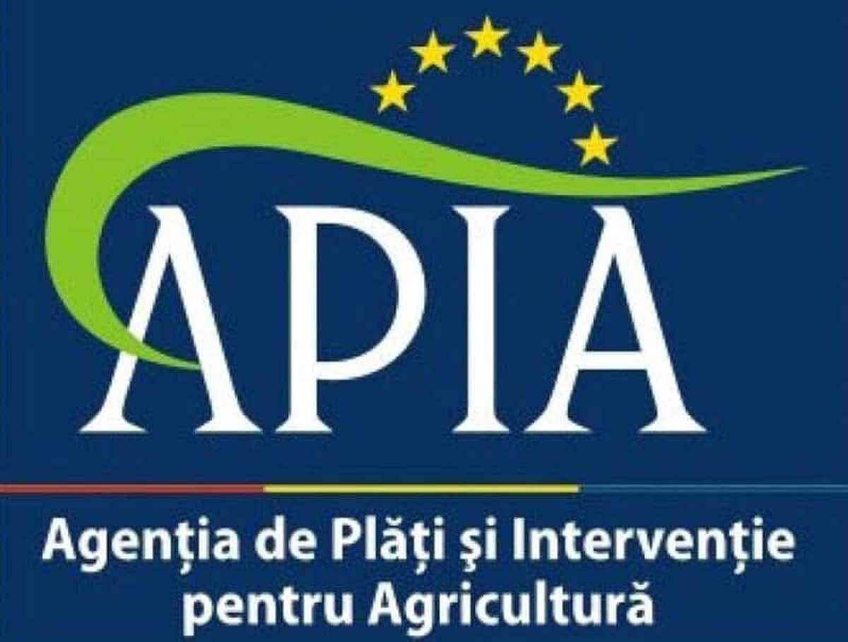 Incepând din 18 mai se efectueaza platile în sectorul creşterii animalelor