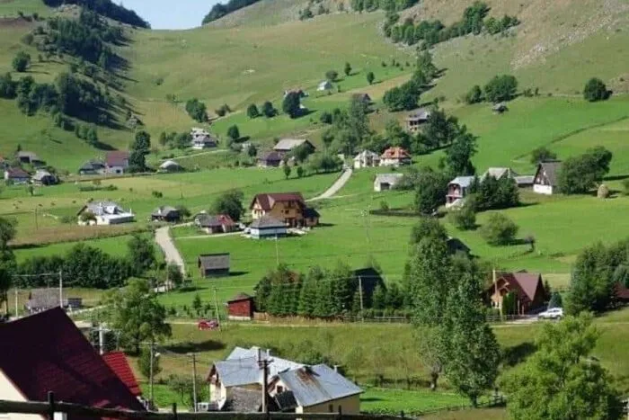 sirnea-3