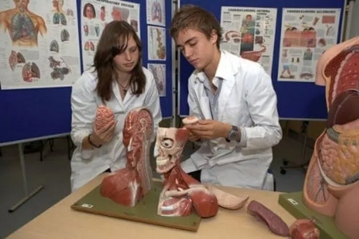 studii-medicina-ww