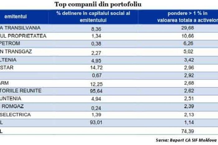 top companii portofoliu