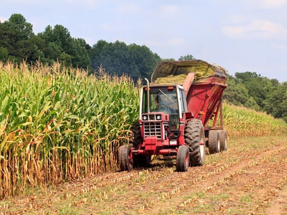 Peste 389.000 de fermieri au primit plăți în avans de 439,4 milioane euro