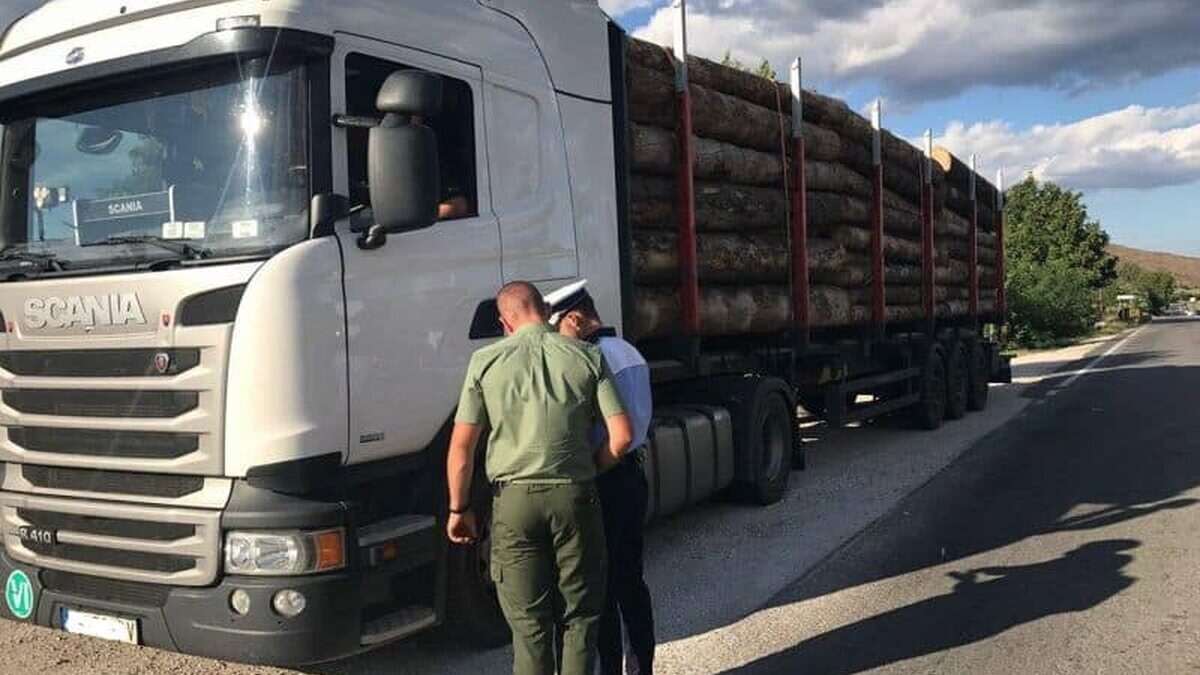 SUMAL 2.0 devine operaţional de la 1 noiembrie; versiunea veche, folosită în paralel până la 30 ianuarie 2021 transport lemne02