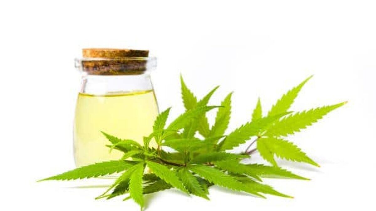Un drog consumat frecvent de tineri are efecte uimitoare asupra cancerului. ulei canabis