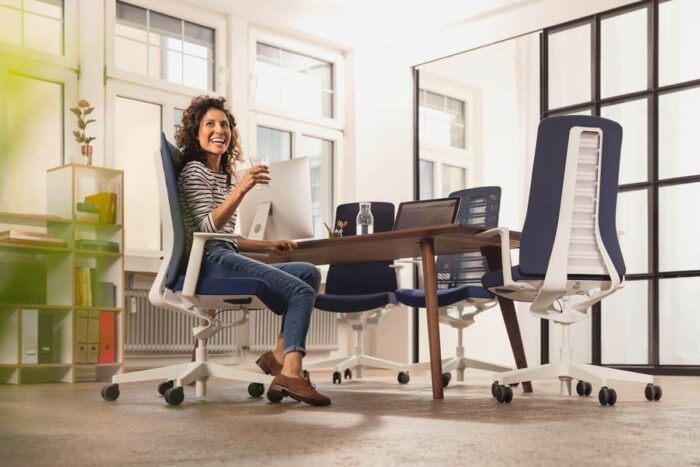 Scaune Ergonomice Ergohuman