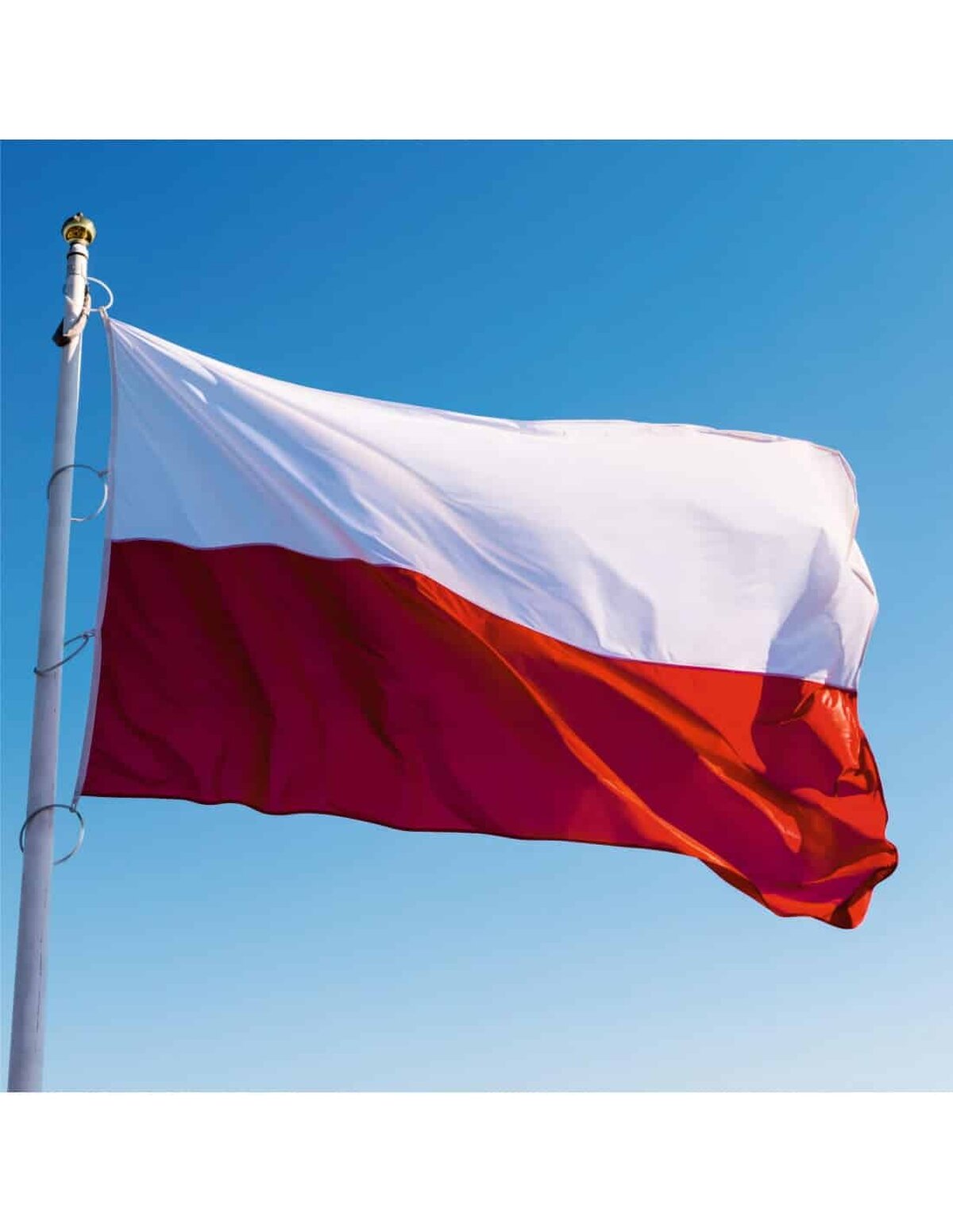 SUA vor construi o centrală nucleară în Polonia!