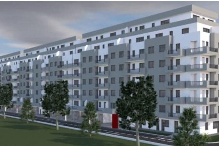 dezv pallady articol