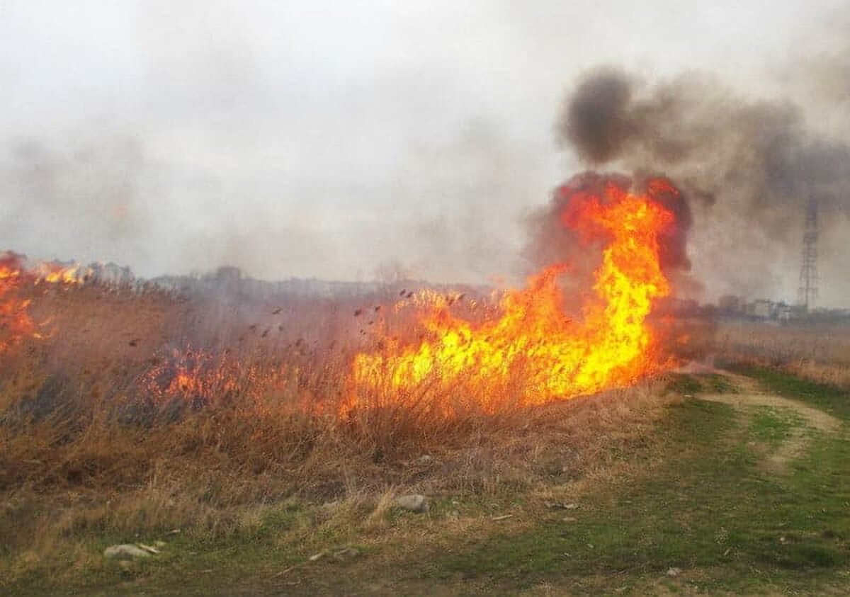 Incendiu de vegetație în Delta Văcărești