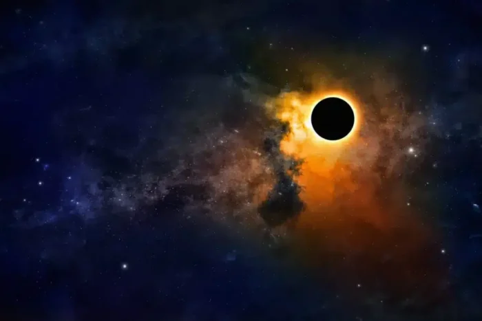 gaura neagra 1024x683 1