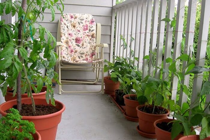 2 year round garden