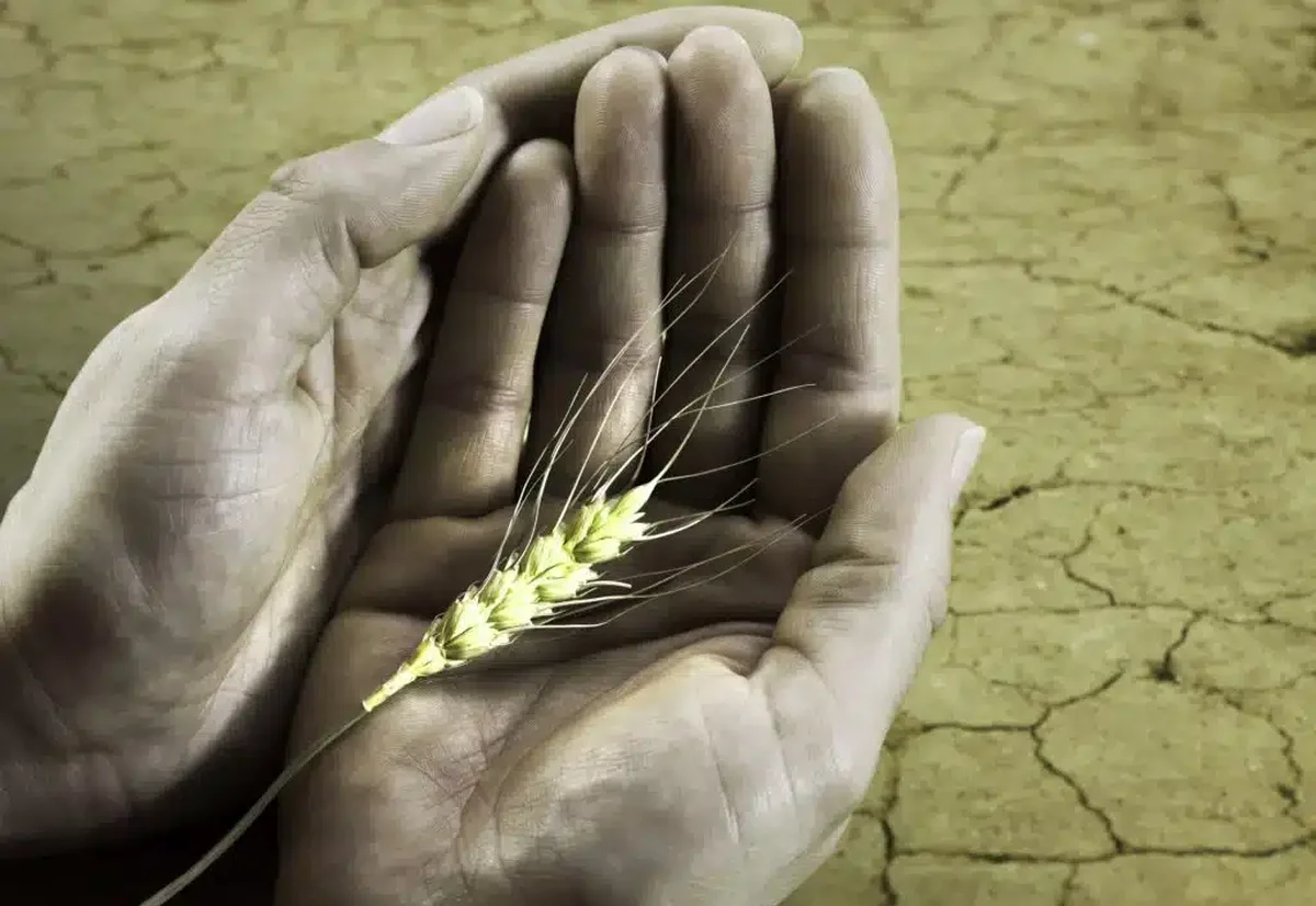 Criza alimentară amenință America Latină