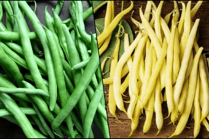 fasole-pastai