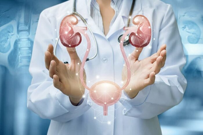 Ce este aparatul urinar și cum funcționează acesta shutterstock 1462382495