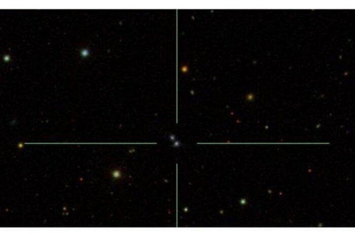 gaura neagra rapida univers 774205