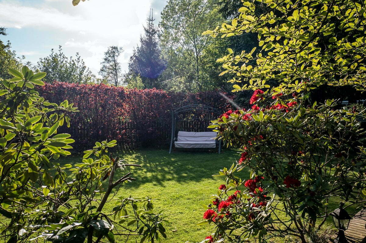 Cum să-ți amenajezi grădina dacă nu ai experiență în domeniu. Trucuri simple