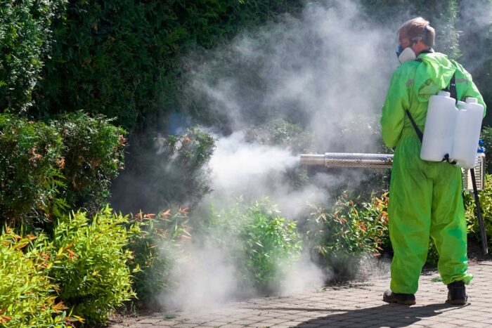Care sunt cele mai periculoase insecte din țara noastră și cum poți scăpa de ele? ddd