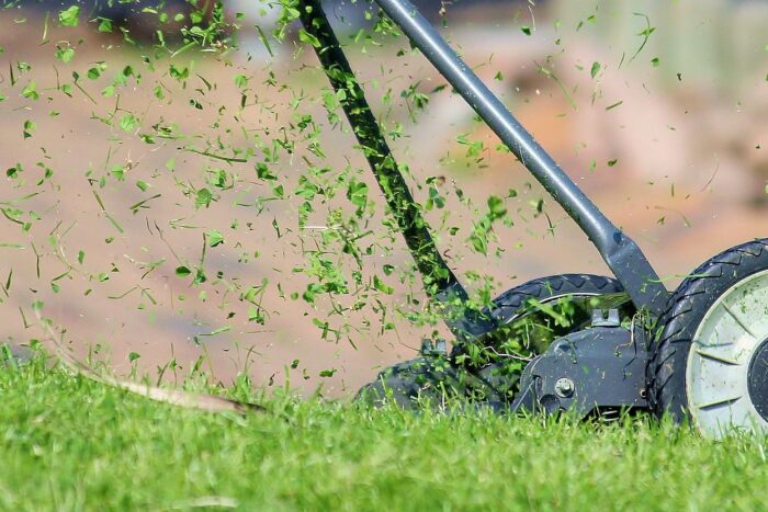 Mașină de tuns iarba sau motocoasă - Cum faci alegerea potrivită? lawn mower 938555 1920