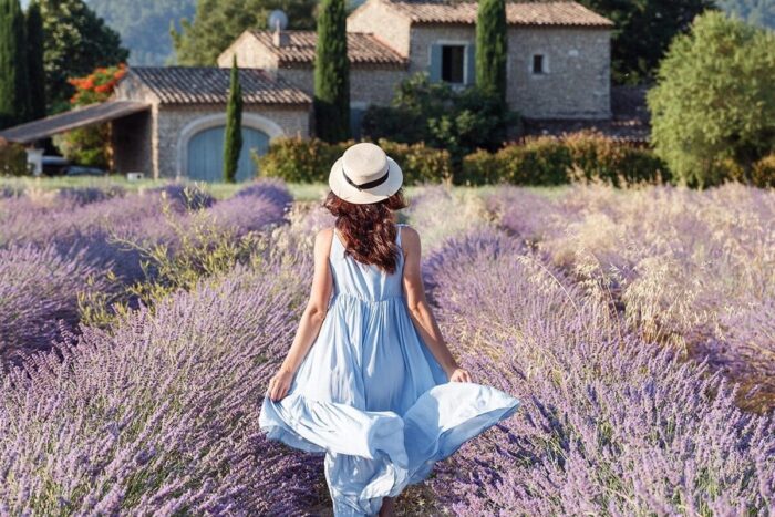 regiunea provence lider in industria produselor cosmetice bio