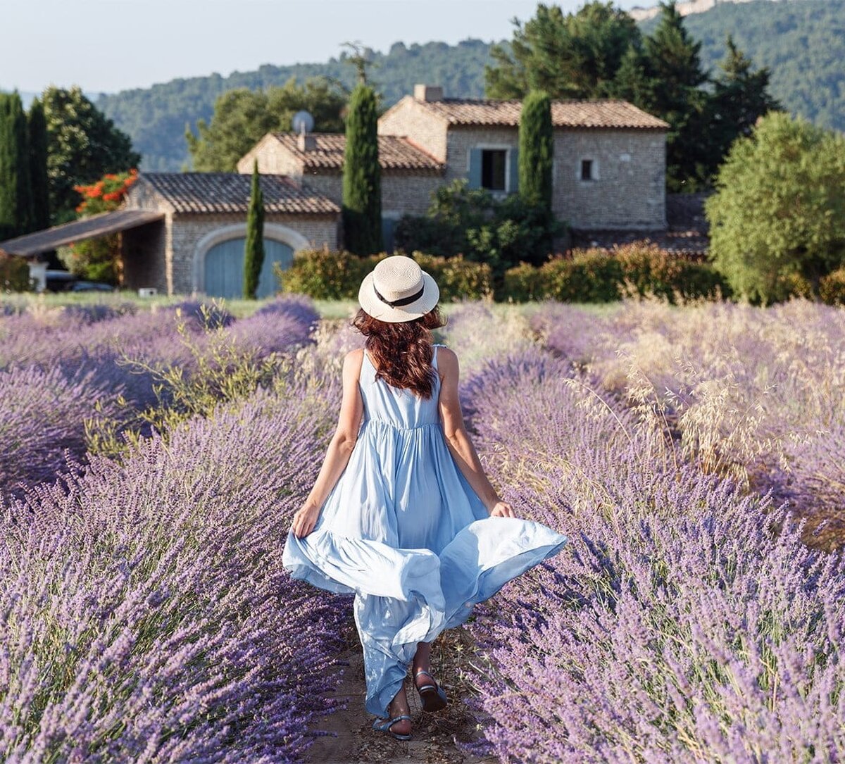 Regiunea Provence, lider în industria produselor cosmetice BIO