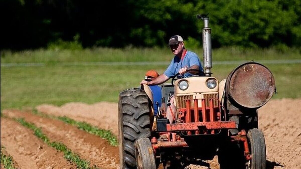 tractor-agricultura-Pexels-e1587475191568-640x400