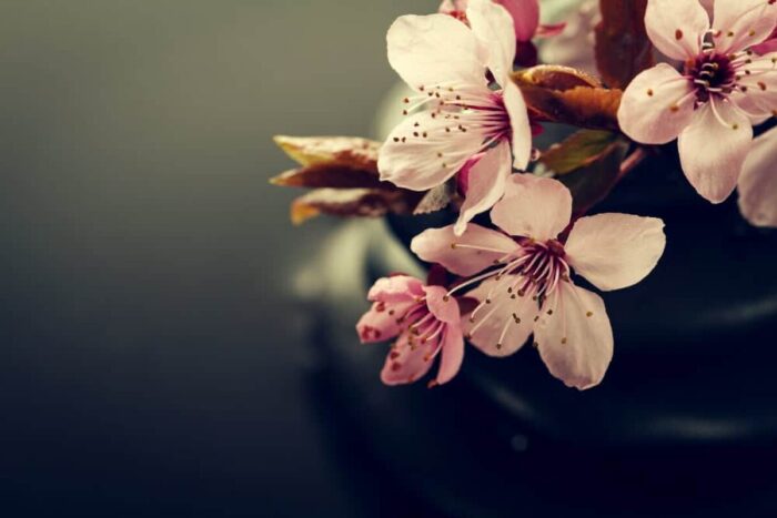 servicii funerare Bucuresti