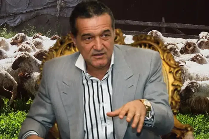 daca steaua bate ajax becali a promis fiecarui jucator o oaie de lux size6 37209500
