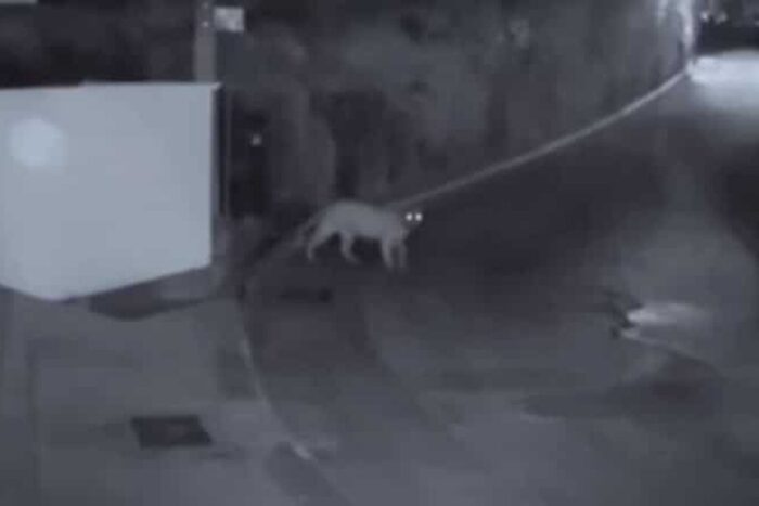 PTc4MCZoPTQ0MCZoYXNoPTBmMjliZDg0YjViYzVlMjBkNmUyNzIzZTkwNDY0MDEz.thumb