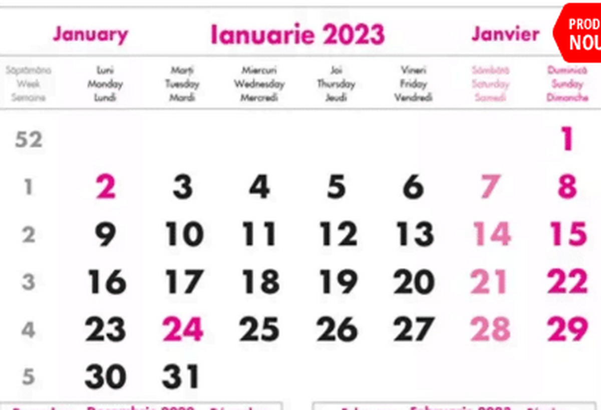 Guvernul a decis ca zilele de 23 ianuarie, 2 iunie şi 14 august 2023 să fie zile libere