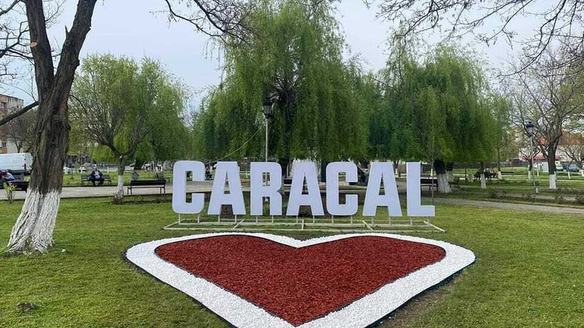 caracal