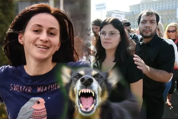 ionut anghel
