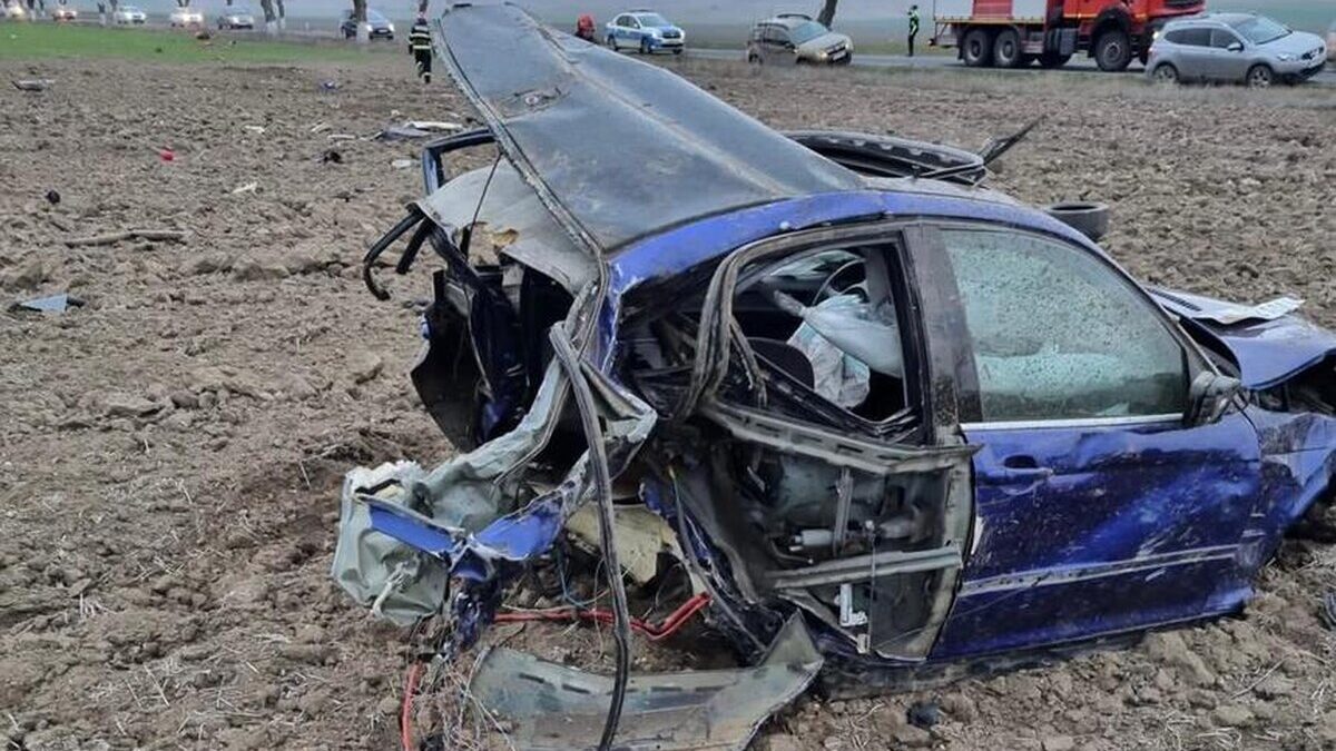 whatsapp image 2023 01 26 at 18 40 13