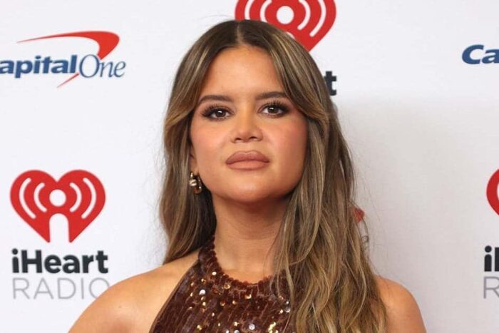 Stars Rejected American Idol Other Singing Competition Shows 00697