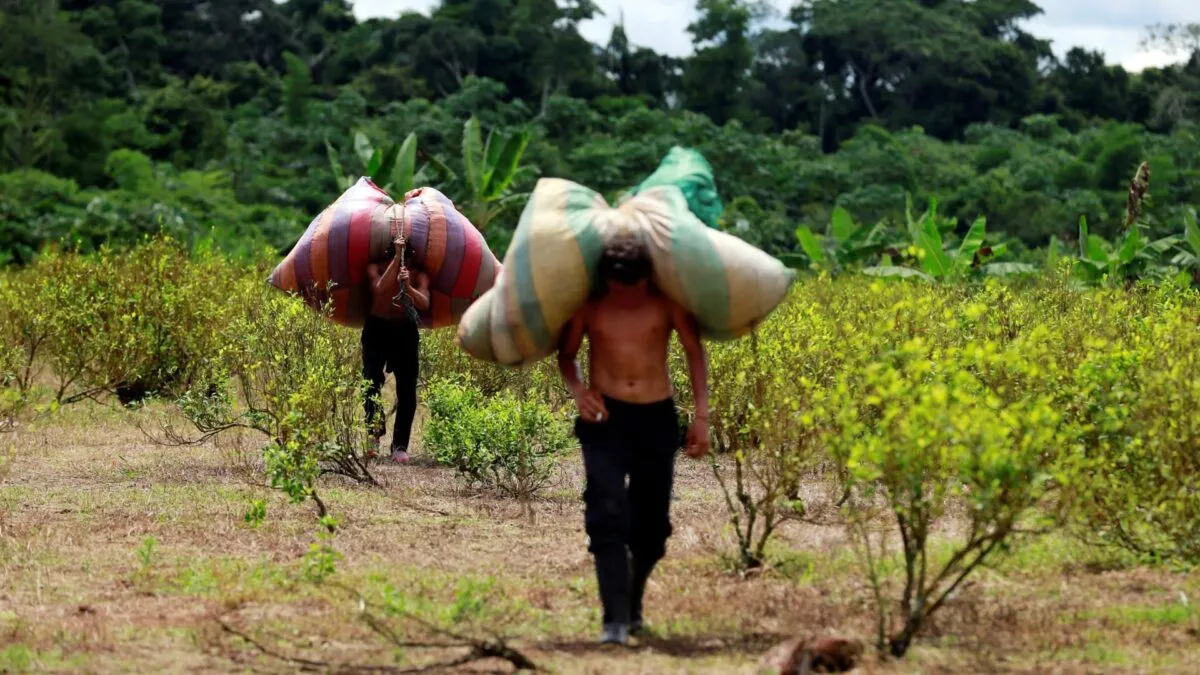 2016-06-02T120000Z_1489125001_S1AETHPZJXAA_RTRMADP_3_COLOMBIA-ILLEGALCROPS.jpg