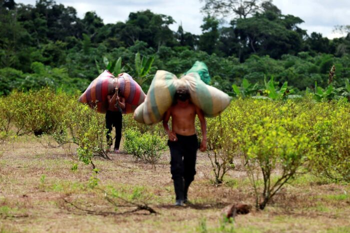 2016 06 02T120000Z 1489125001 S1AETHPZJXAA RTRMADP 3 COLOMBIA ILLEGALCROPS