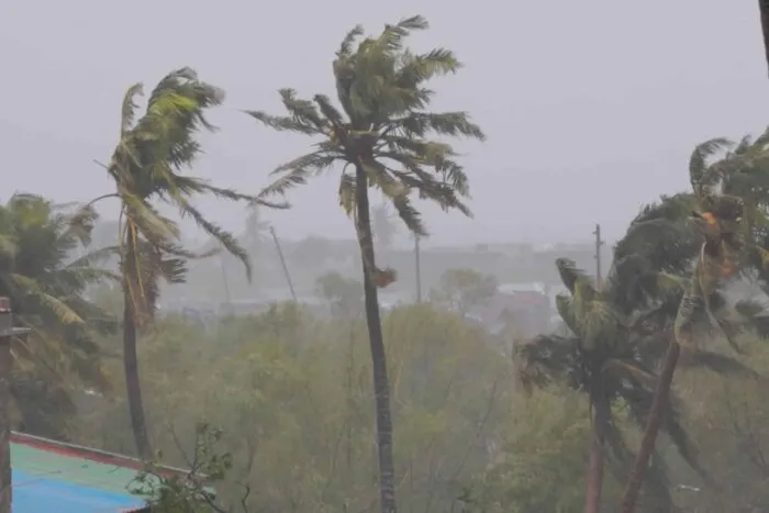 2023-03-12T152747Z_1543160789_RC2FSZ9LIWGT_RTRMADP_3_STORM-FREDDY-MOZAMBIQUE.jpg
