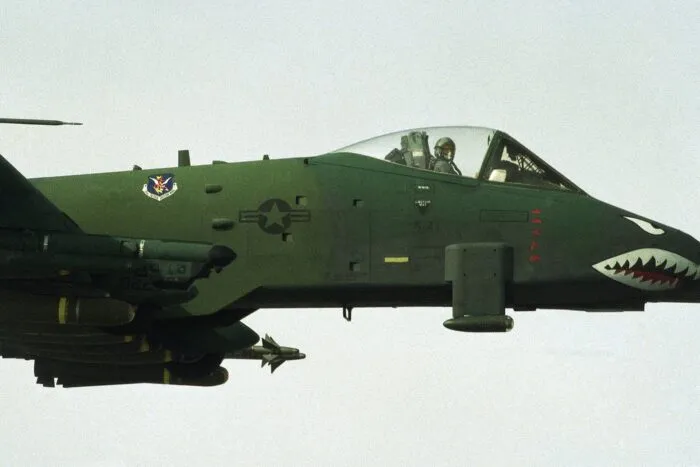A10.jpg