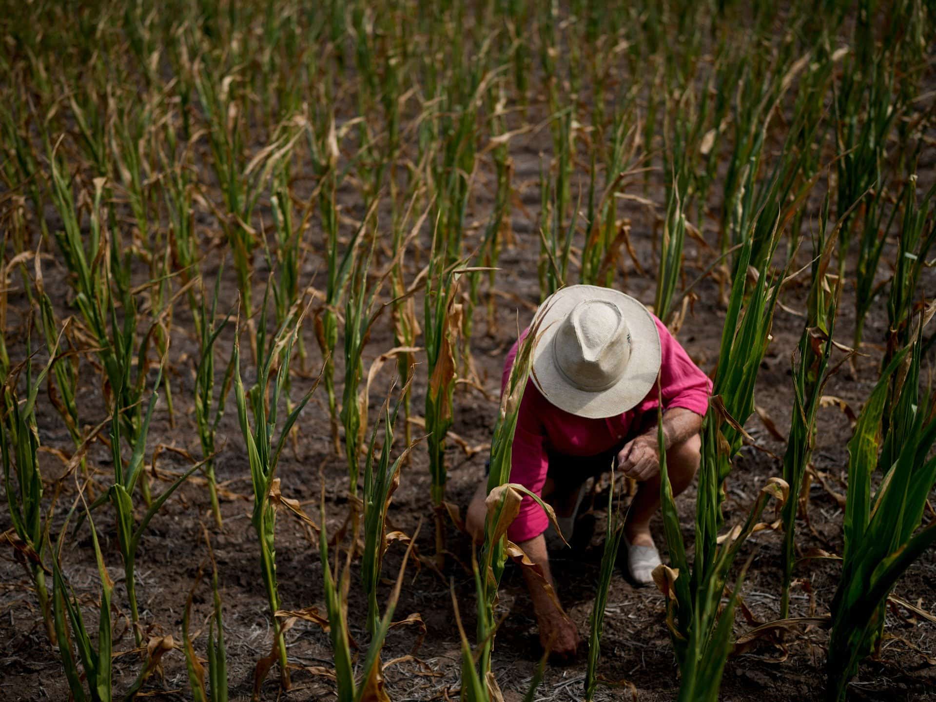 Pentru o adevărată justiție climatică, este timpul pentru o revoluție alimentară