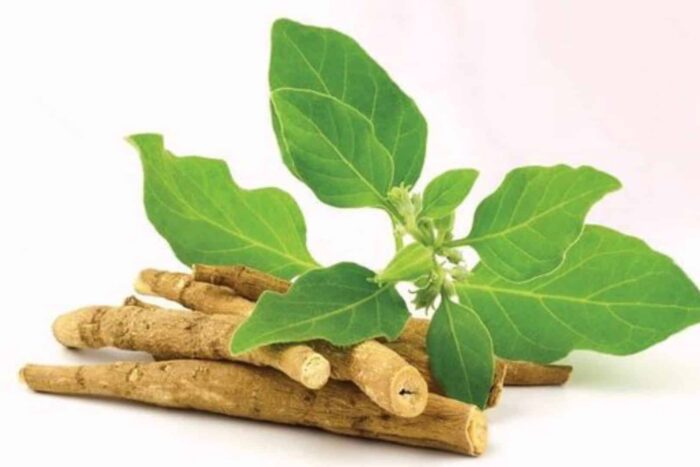 Cum iti poate transforma aceasta planta minune pielea