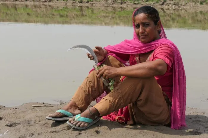 Haleema-Aslam.jpg