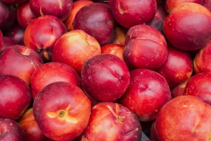 Ingrijire-piersici-si-nectarine.jpg