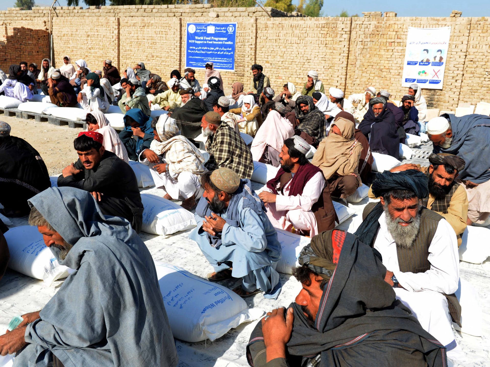 Milioane aproape de foamete după ce PAM a tăiat ajutorul alimentar pentru Afganistan |  Stiri Crize Umanitare