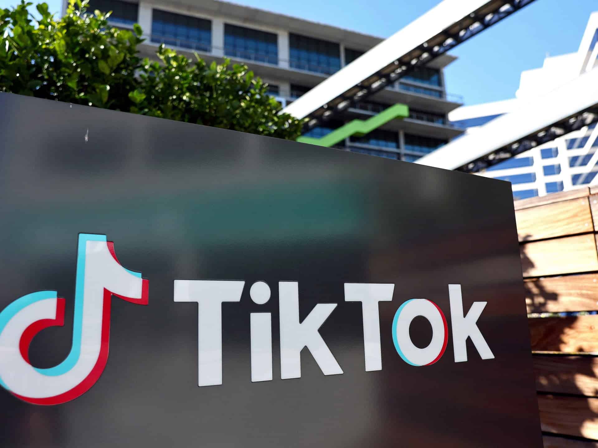 Vietnamul va analiza TikTok cu privire la conținutul „toxic”