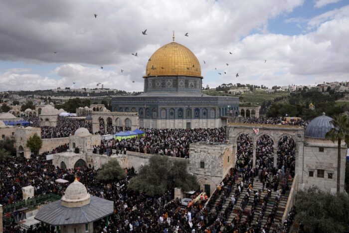 1681285987 AP23090575565494