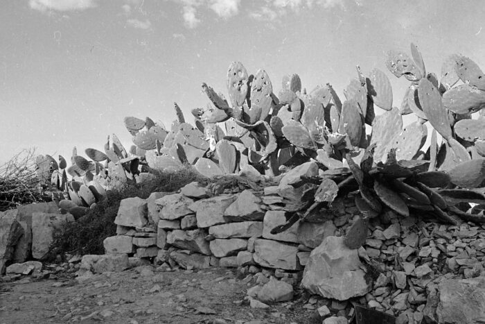 AP080225020819