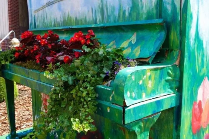 Bulbi-plantati-de-toamna-pentru-frumusetea-primaverii.jpg
