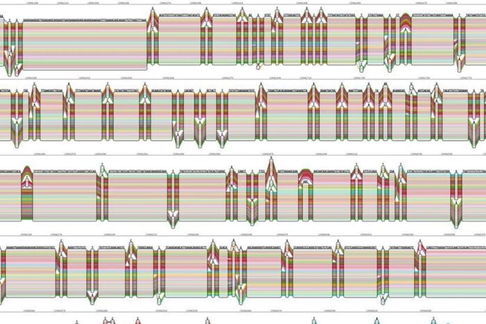 10GENOME2 facebookJumbo